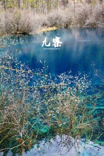 火车上可以改签么游戏画面